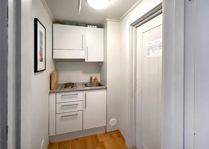 Prachtig Appartement In Lillehammer