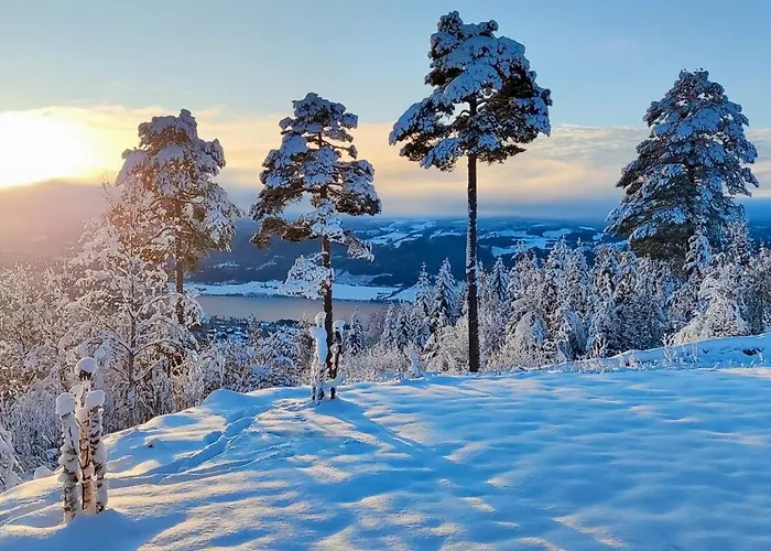 Nordgards Hagen
