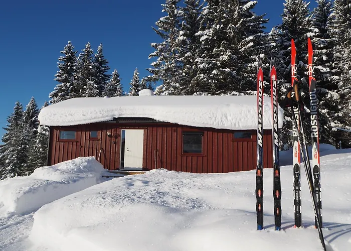 Cabin With Great View Close To Town And Ski Area